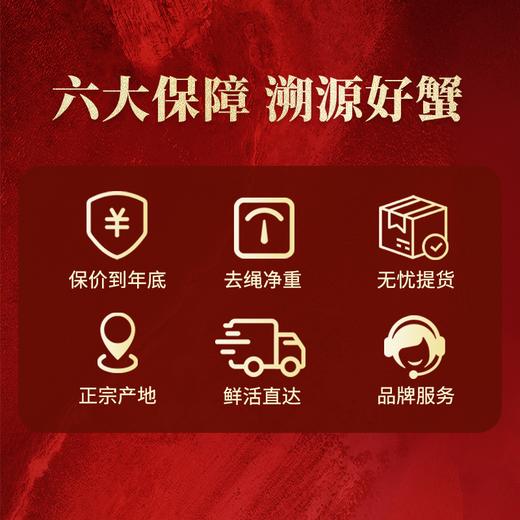 【38折特惠】阳澄湖大闸蟹蟹卡券 商品图8