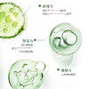 KOSSME蔻诗弥 神经酰胺积雪草舒缓面膜5片*4盒 商品缩略图2
