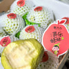 【芭乐】又名番石榴，属于后熟型水果，果肉微软可食，肉质糯甜，籽可食！ 商品缩略图1