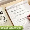 手写体行书行楷字帖心灵美文语录文初高中成人练字励志语录描红临摹字帖 商品缩略图1