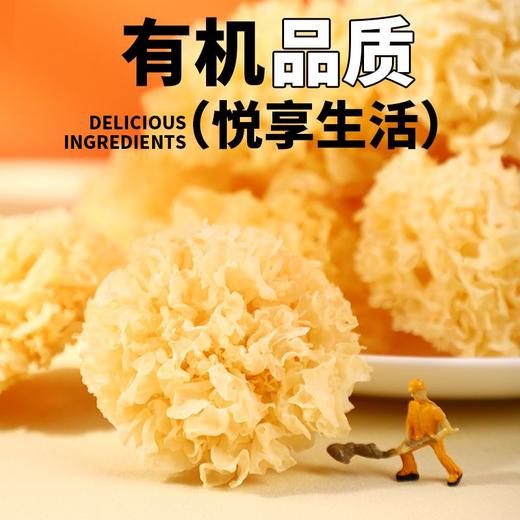 富昌有机小银耳 100g 商品图1