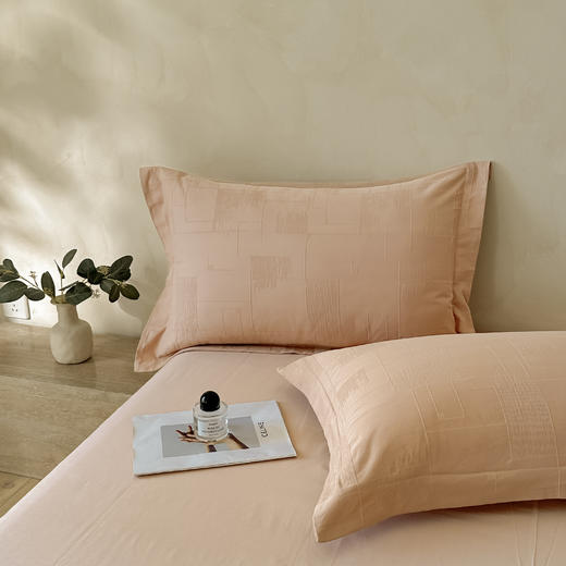 自然醒轻奢高支浮雕立体提花单件枕套HS 商品图1