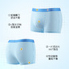 10A抑菌【4条装】透气薄款冰丝网眼含桑蚕丝裆男童平角内裤男3684-7冰冰熊男童内裤 商品缩略图3