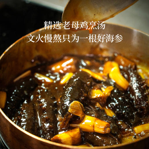 【中秋上新】大董 葱烧海参  810g 门店同款大菜  内含精选干辽参8根 商品图3