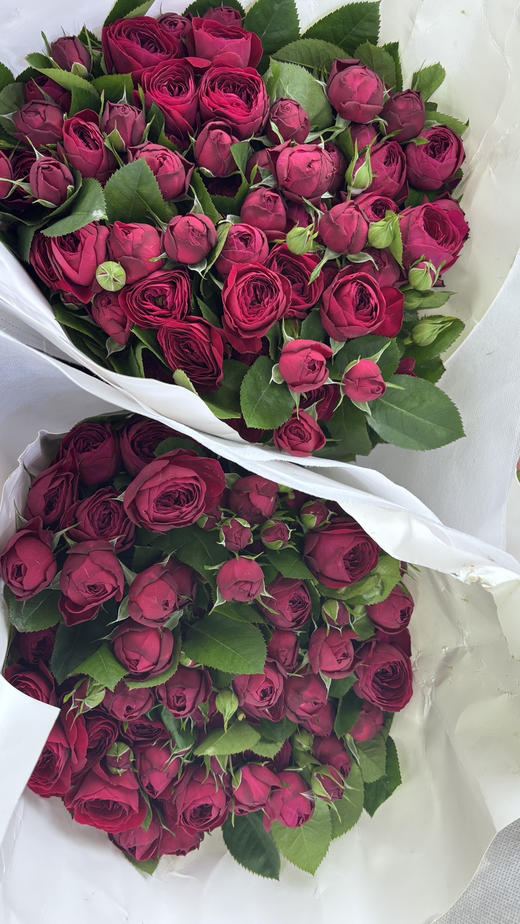 【福利秒杀】多头红色蕾丝 约9-10枝/扎 商品图2