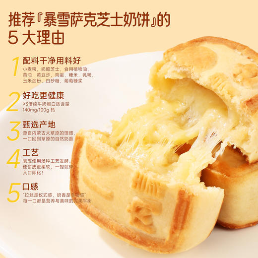 西域美农 暴雪萨克芝士奶饼 酥软细腻 奶香浓郁  月饼 商品图1