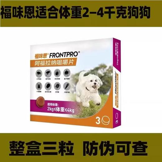 【重磅新品】福味恩狗狗体外口服驱虫药跳蚤蜱虫螨虫牛肉口味1颗/1盒 商品图2