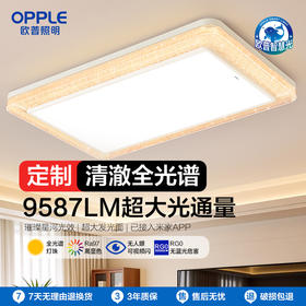 OPPLE欧普照明夜影1.1m大尺寸客厅奶油风吸顶灯套餐