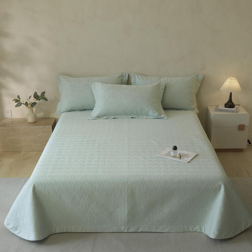 自然醒轻奢高支浮雕立体提花单件床盖HS 商品图6