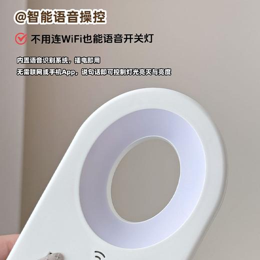 SOOKIE 智能语音小夜灯插座 语音操控 支持多设备 商品图4