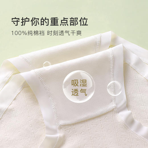 【5条装】7A抑菌100%底棉裆中腰内裤女棉柔舒适高弹透气4926爱心熊内裤 商品图5