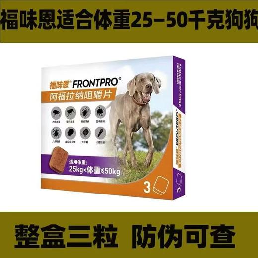 【重磅新品】福味恩狗狗体外口服驱虫药跳蚤蜱虫螨虫牛肉口味1颗/1盒 商品图1