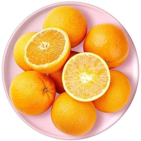 南非橙 约500g/份
