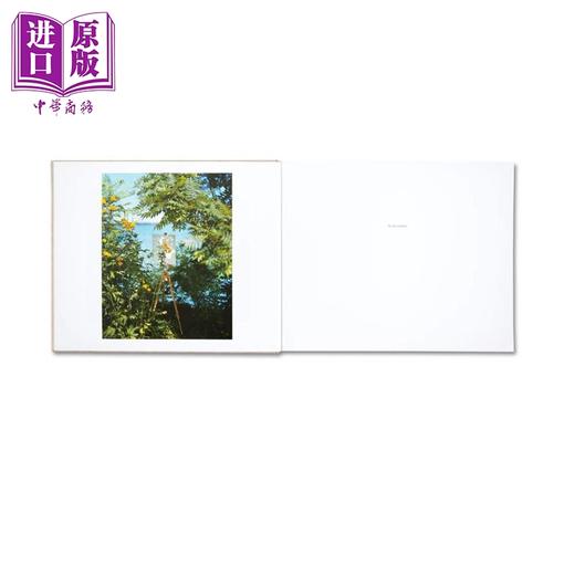 【中商原版】Alec Soth: A Pound of Pictures 进口艺术 亚历克 索斯：一堆照片 签名版 商品图2