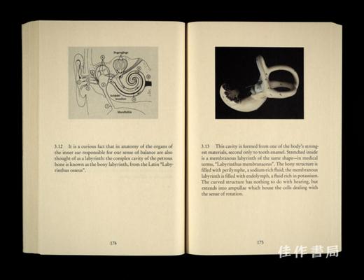 Four Times Through the Labyrinth / 迷宫四重奏 商品图2