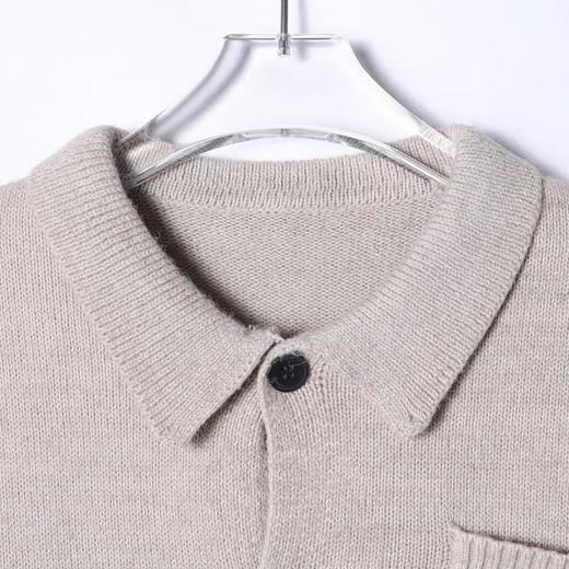 72536SDSA男士秋冬新款痞帅男装基础款复古毛衣简约纽扣翻领开衫针织衫 商品图2