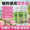 植物营养液通用型花草盆栽水培绿萝多肉发财树富贵竹专用花卉肥料 商品缩略图1