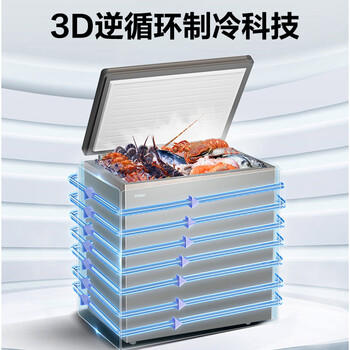 海尔（Haier）轻奢金200升单温冰柜家用小型无需频繁除霜钢板内胆冷冻/冷藏冰箱BC/BD-200GHPCA 商品图4