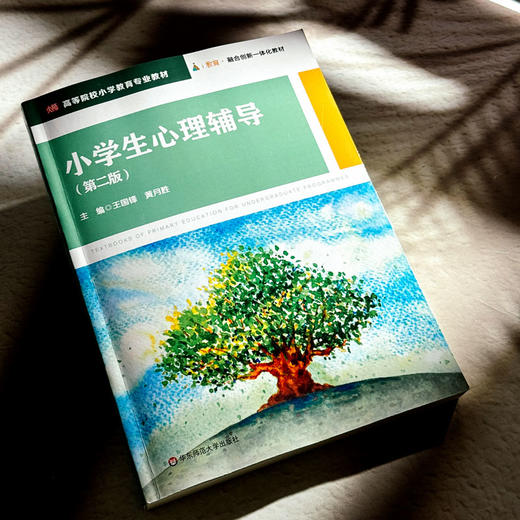 小学生心理辅导 第二版 高等院校小学教育专业教材 王国锋 黄月胜 商品图4