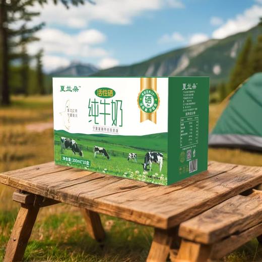 【香醇浓厚】夏兰朵 活性硒纯牛奶 200ml*10盒/箱 入口丝滑奶香浓郁 商品图1
