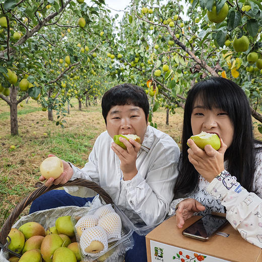 【送礼必备】时令水果礼盒 应季新鲜自然熟小蜜梨黄山楂精品水果礼盒   节日礼盒 可支持企业定制 商品图3