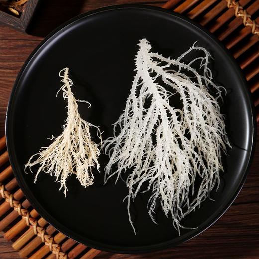 赶海弟龙须菜 100g 商品图1