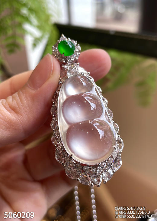 玻璃种福豆吊坠【5060209】具体价格微信咨询 商品图5