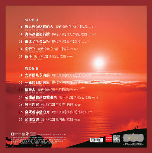 《凌云志》 毛阿敏   声动梁尘 商品图4