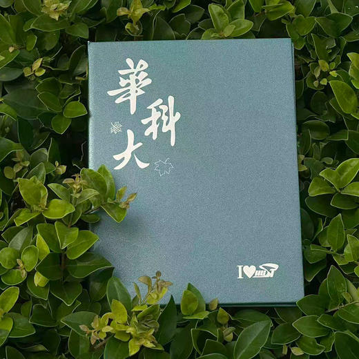 华科大立体贺卡 商品图2