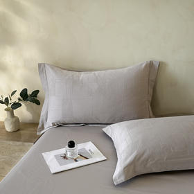 自然醒轻奢高支浮雕立体提花单件枕套HS