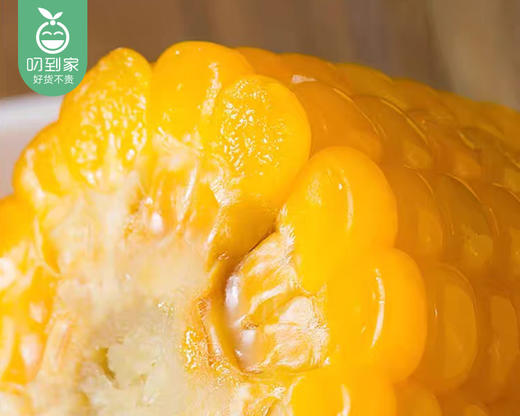 e人煮黍吉林甜糯玉米（220g*8根/袋 真空装）生产日期: 11月 商品图1