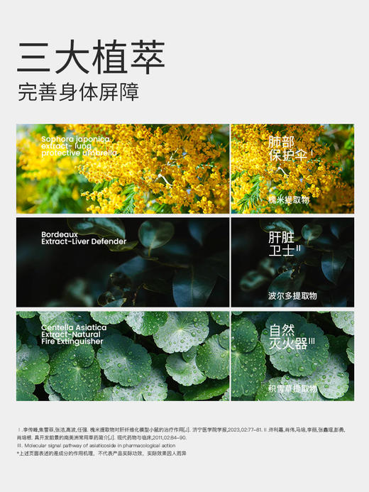 SMEAL 新西兰槲皮素植物提取PPC 商品图1