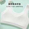 【适合1-2阶】无痕初中生少女发育期背心内衣女亲肤舒适猫咪杯1125可爱小狗 商品缩略图3