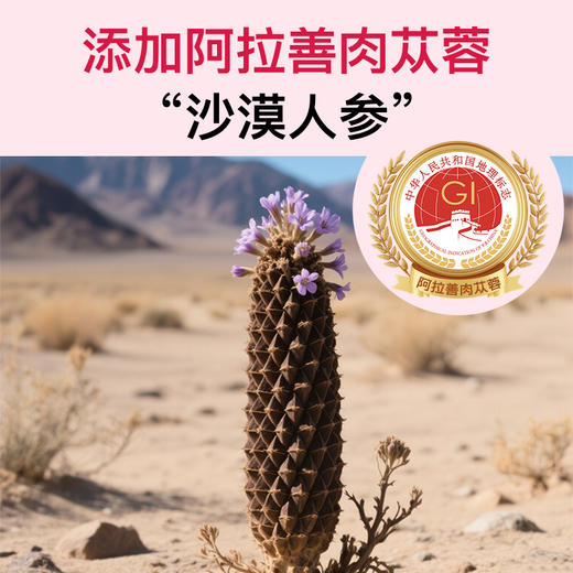 斯利安角豆蔓越莓呵护成人中老年女性健康进口原料守护“她”健康 商品图4