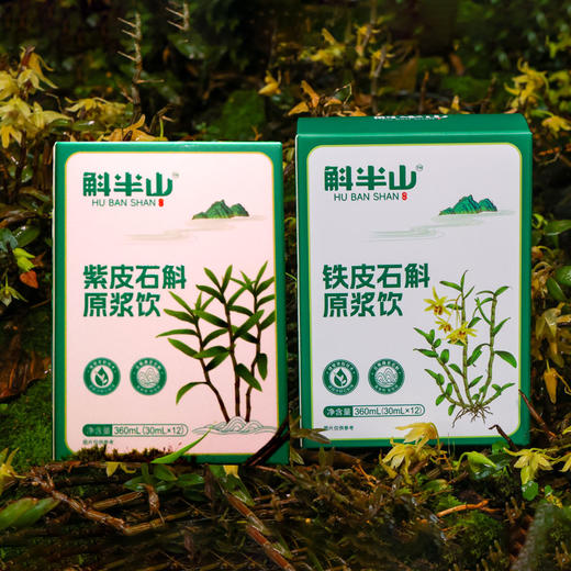 铁皮石斛原浆饮品30ml*12袋/盒 商品图3