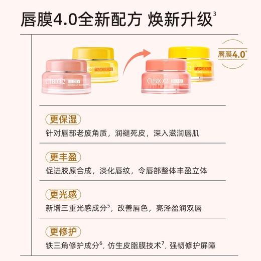 希蓓欧睡眠保湿修护唇膜(清爽型)15g（250868） 商品图2
