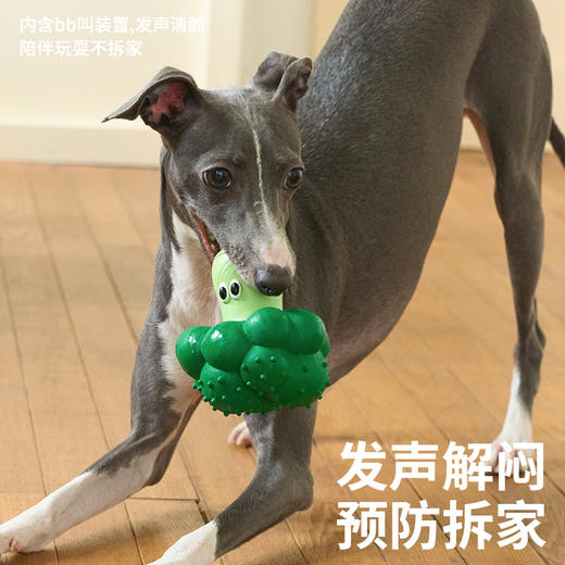 zeze西兰花乳胶发声玩具 -B(包邮) 商品图3