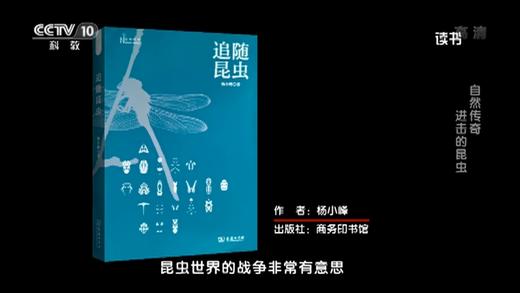 追随昆虫(自然感悟丛书) 商品图5