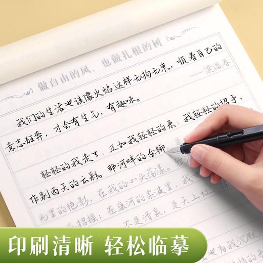 手写体行书行楷字帖心灵美文语录文初高中成人练字励志语录描红临摹字帖 商品图7