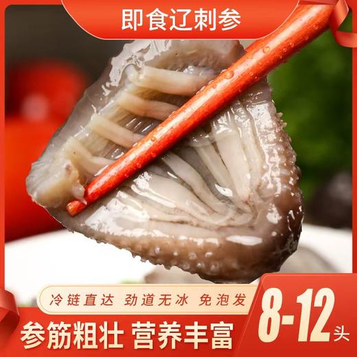 天仙岛即食辽参2斤组合 500g*2袋 8-12头/斤 16-24头/2斤 商品图0