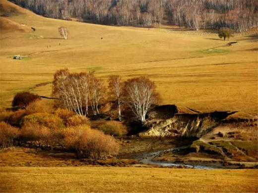 五一2日【坝上草原】越野车·京北第一草原·闪电湖·七彩森林·篝火 商品图9