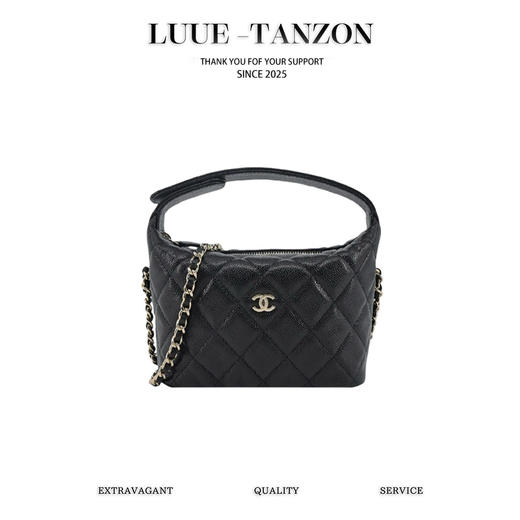 香奈儿25C菜篮子饺子包（HH） 商品图0