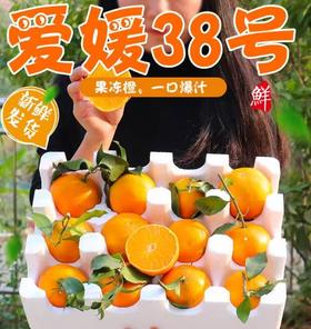 杞冠严选 |  云南高山石林爱媛果冻橙 现摘现发 一口爆汁