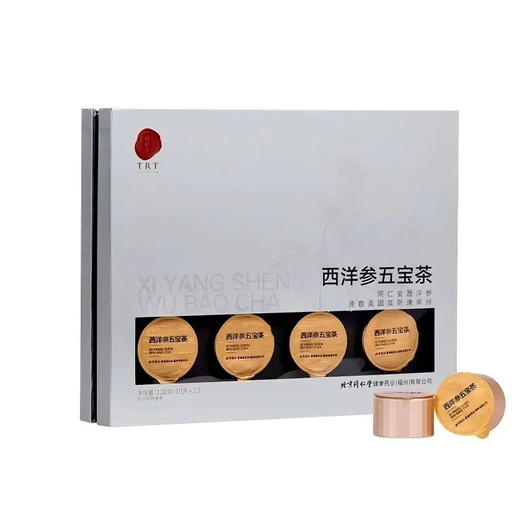 【超市】同仁堂西洋参五宝茶茶120g 商品图0