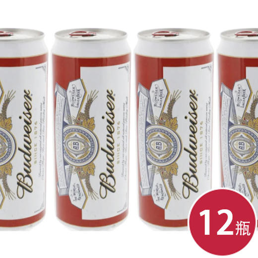 百威啤酒9.7度听装500ml*12（6948960100078） 商品图0