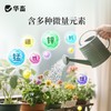 植物营养液通用型花草盆栽水培绿萝多肉发财树富贵竹专用花卉肥料 商品缩略图4