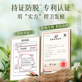 卓蓝雅生姜侧柏叶防脱固发洗发水400ml /个人护理 /洗发护发 /洗发水