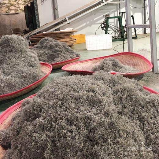 咸丰县比兹卡好食光土家藤茶 50g/罐 商品图2