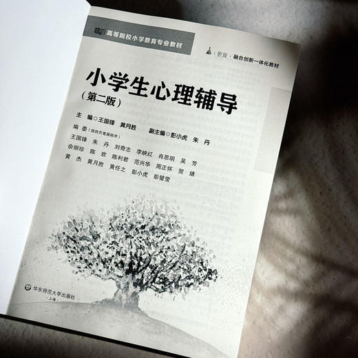 小学生心理辅导 第二版 高等院校小学教育专业教材 王国锋 黄月胜 商品图5