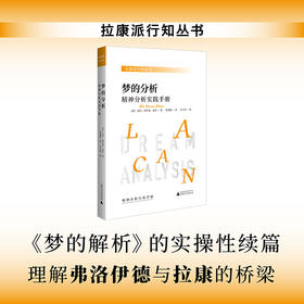 梦的分析：精神分析实践手册